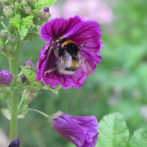 IMG_6856_ergebnis